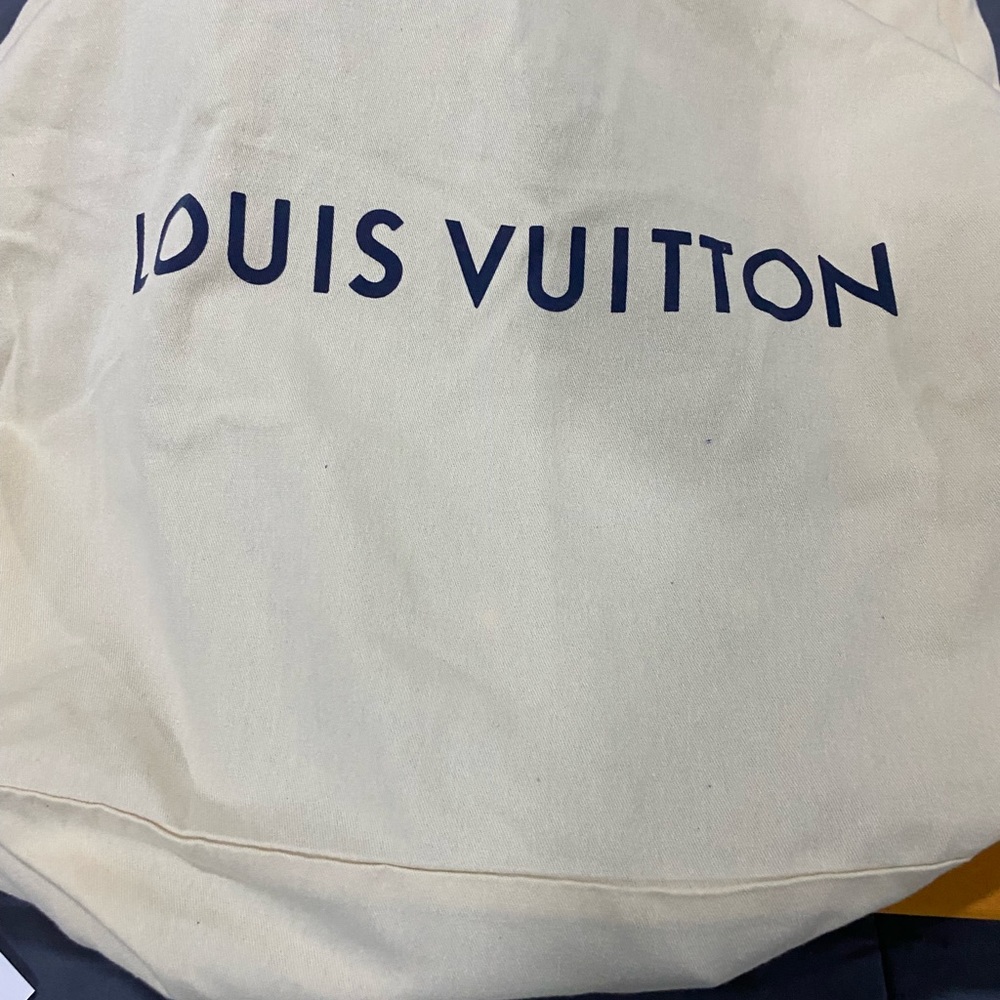 Louis Vuitton Artsy MM